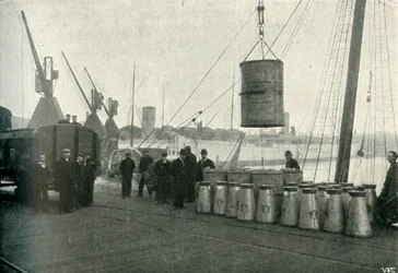 Latte francese sbarcato a Southampton, 1902