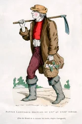 Contadino francese, XVI secolo