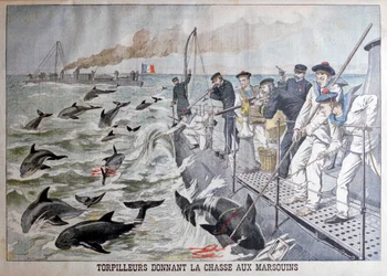 Cacciatorpediniere francesi che cacciano i delfini, 1903