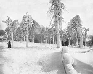 Lavoro di gelo nel Prospect Park, Niagara, USA, c1900