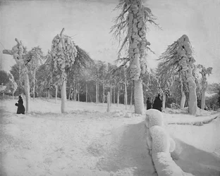 Lavori di gelo nel Prospect Park, Niagara, c. 1897
