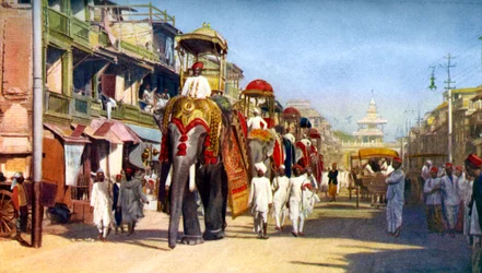 Elefanti di stato di Gaekwar, Manipuri Bazaar, Bombay, India, c1924