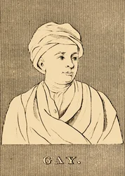 Gay