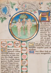 Cronaca genealogica dei re d
