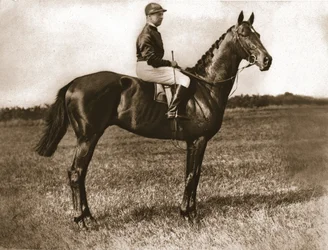 Georges Stern su Sunstar, 1911