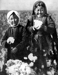 Ragazze in un campo di cotone, Kazakistan