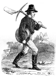 Minatore d