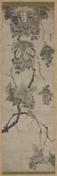 Uva, 1700s