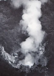 Grande geyser di Wairakei, fine XIX-inizio XX secolo