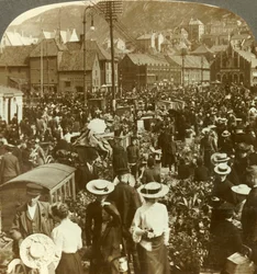 Il grande mercato di Bergen, il mercato dei fiori a nord del mercato del pesce, Norvegia, c. 1905