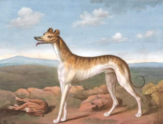 Levriero: rivolto a sinistra, con una lepre morta ai suoi piedi, ca. 1805