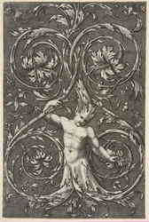 Grottesco con figura maschile con corpo inferiore e testa di volute di acanto, ca. 1515-1600