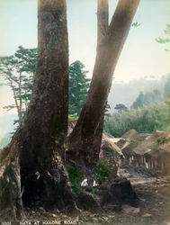 Hata sulla strada di Hakone, Giappone, inizio XX secolo