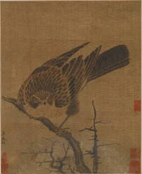 Falco su un ramo spoglio, Possibilmente dinastia Yuan