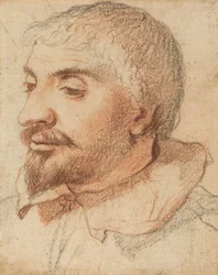 Testa di un uomo, c. 1600