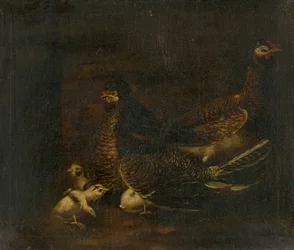 Gallina con Pulcini