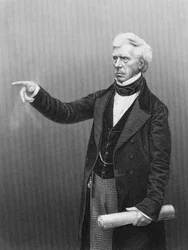 Henry Peter Brougham, 1° Barone Brougham e Vaux, avvocato e politico scozzese, c. 1861