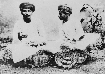 Venditori di frutta indù, India