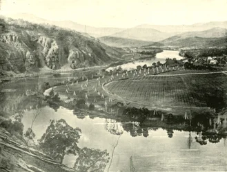 Giardini di luppolo in Tasmania, 1901
