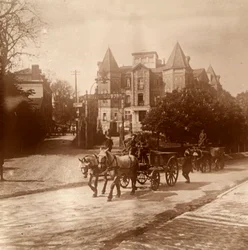 Ambulanza trainata da cavalli, Belgio, c1914-c1918