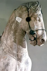 Cavallo, Quadriga del Mausoleo di Alicarnasso, 350 a.C.