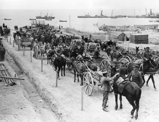 Trasporto trainato da cavalli, operazioni alleate nei Dardanelli, Turchia, 1915-1916