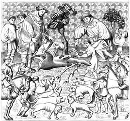 Come scuoiare un cervo, XV secolo, 1849