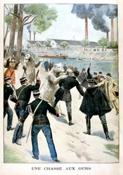 Caccia agli orsi, 1901