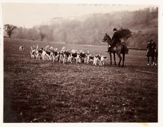 Cacciatore e cani, circa 1905