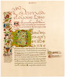Lettera illuminata D, XV secolo
