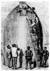 Illustrazione da Dalla Terra alla Luna di Jules Verne, 1865