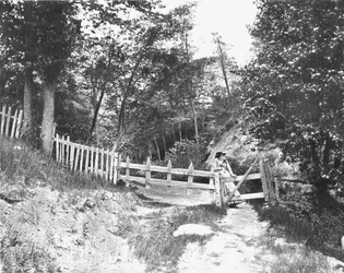 Nelle colline del Berkshire, Massachusetts, USA, c1900
