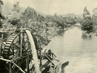 Nel fiume Ovens, Germantown, 1901