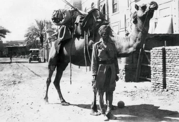 Cavaliere di cammelli indiano, Baghdad