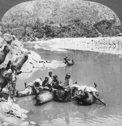 Pelli di bue gonfiate usate come barche sul fiume Sutlej, Punjab, India, c1900