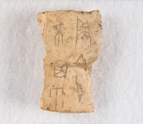 Frammento di osso iscritto, osso oracolare, tarda dinastia Shang, ca. 1300-1050 a.C.