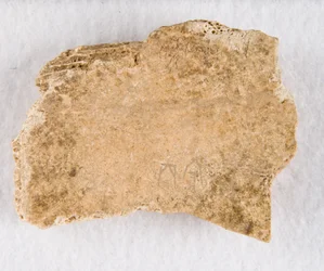 Frammento di osso oracolare iscritto, tarda dinastia Shang, ca. 1300-1050 a.C.