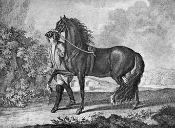 Cavallo napoletano italiano, 1722 1938