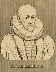 J. Gerarde, c. 1545-1612, 1830