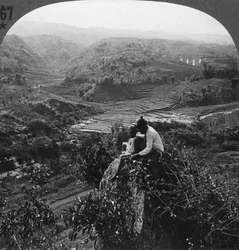 Giava, Indonesia, c1900s