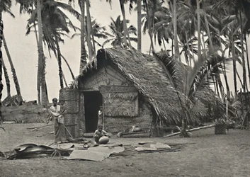 Palme da cocco e capanna di nativi fatta di foglie di cocco