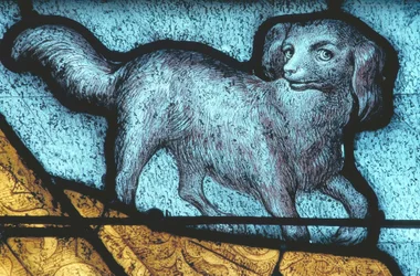La Ferté-Bernard, Cane / Vetrata del XV secolo