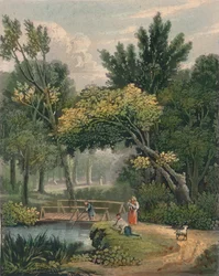 Lambert