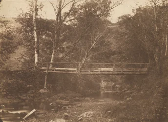 Paesaggio con alberi e ponte