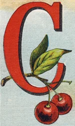 Lettera C: ciliegie