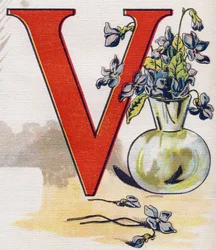 Lettera V: vaso con violette. Incisione in "ABC L