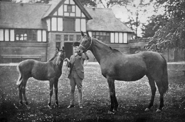 Lily Agnes, con Orelio di Bend Or, vincitore di £4955, 1894 1938