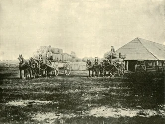 Caricamento della lana, Stazione Warrawooh, Wimmera