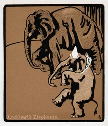 Gli elefanti di Lockhart, XIX secolo