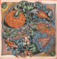 Illustrazione di manoscritto con iniziale S, da un libro corale